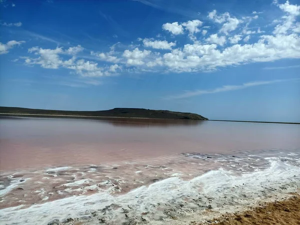 Beautiful Salt Pink Rose Lake Blue Sky — 스톡 사진