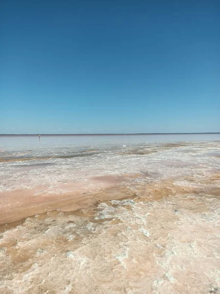 Martian landscape at the pink rose salt lake