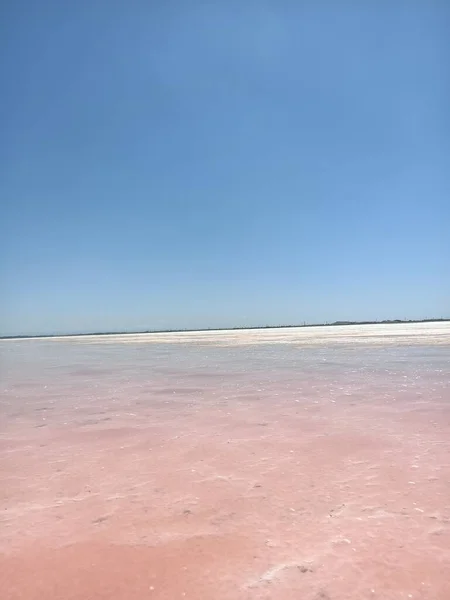 Beautiful Salt Pink Rose Lake Blue Sky — 스톡 사진