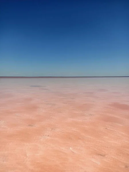 Beautiful Salt Pink Rose Lake Blue Sky — 스톡 사진