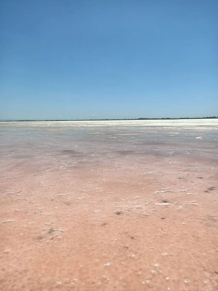 분홍색 호수에 — 스톡 사진