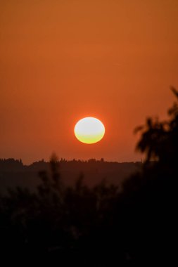 Altın güneş, Yunan kırsalındaki puslu tepelerin üzerinde batıyor. Yerli bir zeytin ağacının silueti ön planda duruyor ve huzurlu ve klasik bir Akdeniz sonbahar sahnesi yaratıyor..
