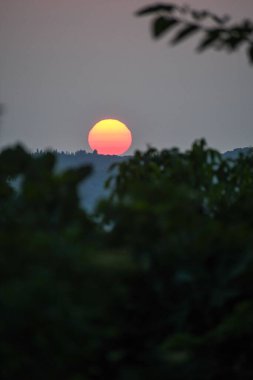 Altın güneş, Yunan kırsalındaki puslu tepelerin üzerinde batıyor. Yerli bir zeytin ağacının silueti ön planda duruyor ve huzurlu ve klasik bir Akdeniz sonbahar sahnesi yaratıyor..