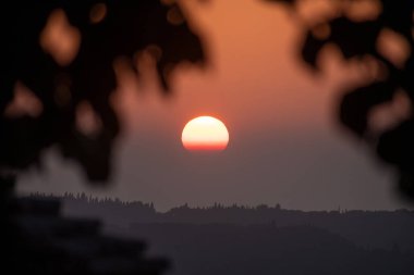 Batan güneş, akşam gökyüzünde, ağaç yapraklarının karanlık silueti tarafından kısmen gizlenmiş sıcak bir turuncu parıltı yaratır. Sakin, atmosferik ve barışçıl bir arka plan..