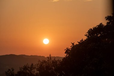 Kırsal Yunanistan 'ın yuvarlanan tepeleri üzerinde altın saat gün batımı. Sıcak güneş turuncu gökyüzünde parlıyor. Yalnız bir kuş karanlık ağaç siluetlerinin üzerinde uçuyor. Kopya alanı olan huzurlu sonbahar manzarası.