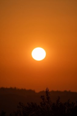 Kırsal Yunanistan 'ın yuvarlanan tepeleri üzerinde altın saat gün batımı. Sıcak güneş turuncu gökyüzünde parlıyor. Yalnız bir kuş karanlık ağaç siluetlerinin üzerinde uçuyor. Kopya alanı olan huzurlu sonbahar manzarası.