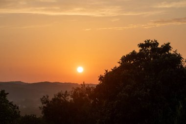 Kırsal Yunanistan 'ın yuvarlanan tepeleri üzerinde altın saat gün batımı. Sıcak güneş turuncu gökyüzünde parlıyor. Yalnız bir kuş karanlık ağaç siluetlerinin üzerinde uçuyor. Kopya alanı olan huzurlu sonbahar manzarası.