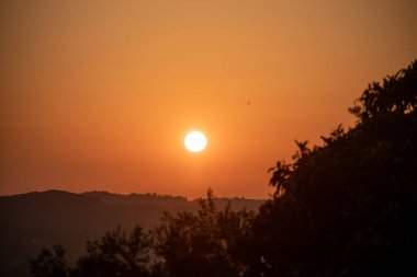 Kırsal Yunanistan 'ın yuvarlanan tepeleri üzerinde altın saat gün batımı. Sıcak güneş turuncu gökyüzünde parlıyor. Yalnız bir kuş karanlık ağaç siluetlerinin üzerinde uçuyor. Kopya alanı olan huzurlu sonbahar manzarası.