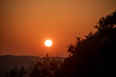 Kırsal Yunanistan 'ın yuvarlanan tepeleri üzerinde altın saat gün batımı. Sıcak güneş turuncu gökyüzünde parlıyor. Yalnız bir kuş karanlık ağaç siluetlerinin üzerinde uçuyor. Kopya alanı olan huzurlu sonbahar manzarası.