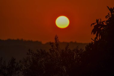 Kırsal Yunanistan 'ın yuvarlanan tepeleri üzerinde altın saat gün batımı. Sıcak güneş turuncu gökyüzünde parlıyor. Yalnız bir kuş karanlık ağaç siluetlerinin üzerinde uçuyor. Kopya alanı olan huzurlu sonbahar manzarası.