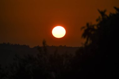 Kırsal Yunanistan 'ın yuvarlanan tepeleri üzerinde altın saat gün batımı. Sıcak güneş turuncu gökyüzünde parlıyor. Yalnız bir kuş karanlık ağaç siluetlerinin üzerinde uçuyor. Kopya alanı olan huzurlu sonbahar manzarası.