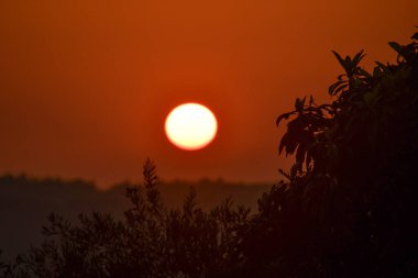 Kırsal Yunanistan 'ın yuvarlanan tepeleri üzerinde altın saat gün batımı. Sıcak güneş turuncu gökyüzünde parlıyor. Yalnız bir kuş karanlık ağaç siluetlerinin üzerinde uçuyor. Kopya alanı olan huzurlu sonbahar manzarası.