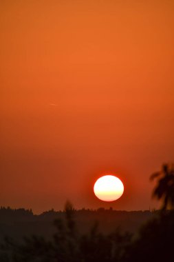Kırsal Yunanistan 'ın yuvarlanan tepeleri üzerinde altın saat gün batımı. Sıcak güneş turuncu gökyüzünde parlıyor. Yalnız bir kuş karanlık ağaç siluetlerinin üzerinde uçuyor. Kopya alanı olan huzurlu sonbahar manzarası.
