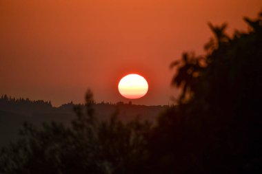 Kırsal Yunanistan 'ın yuvarlanan tepeleri üzerinde altın saat gün batımı. Sıcak güneş turuncu gökyüzünde parlıyor. Yalnız bir kuş karanlık ağaç siluetlerinin üzerinde uçuyor. Kopya alanı olan huzurlu sonbahar manzarası.