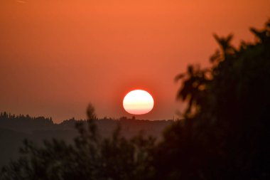 Kırsal Yunanistan 'ın yuvarlanan tepeleri üzerinde altın saat gün batımı. Sıcak güneş turuncu gökyüzünde parlıyor. Yalnız bir kuş karanlık ağaç siluetlerinin üzerinde uçuyor. Kopya alanı olan huzurlu sonbahar manzarası.