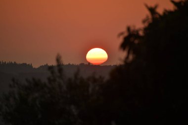 Kırsal Yunanistan 'ın yuvarlanan tepeleri üzerinde altın saat gün batımı. Sıcak güneş turuncu gökyüzünde parlıyor. Yalnız bir kuş karanlık ağaç siluetlerinin üzerinde uçuyor. Kopya alanı olan huzurlu sonbahar manzarası.