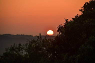 Kırsal Yunanistan 'ın yuvarlanan tepeleri üzerinde altın saat gün batımı. Sıcak güneş turuncu gökyüzünde parlıyor. Yalnız bir kuş karanlık ağaç siluetlerinin üzerinde uçuyor. Kopya alanı olan huzurlu sonbahar manzarası.