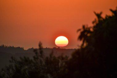 Kırsal Yunanistan 'ın yuvarlanan tepeleri üzerinde altın saat gün batımı. Sıcak güneş turuncu gökyüzünde parlıyor. Yalnız bir kuş karanlık ağaç siluetlerinin üzerinde uçuyor. Kopya alanı olan huzurlu sonbahar manzarası.