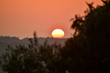 Kırsal Yunanistan 'ın yuvarlanan tepeleri üzerinde altın saat gün batımı. Sıcak güneş turuncu gökyüzünde parlıyor. Yalnız bir kuş karanlık ağaç siluetlerinin üzerinde uçuyor. Kopya alanı olan huzurlu sonbahar manzarası.
