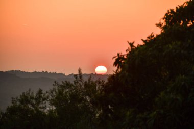 Kırsal Yunanistan 'ın yuvarlanan tepeleri üzerinde altın saat gün batımı. Sıcak güneş turuncu gökyüzünde parlıyor. Yalnız bir kuş karanlık ağaç siluetlerinin üzerinde uçuyor. Kopya alanı olan huzurlu sonbahar manzarası.
