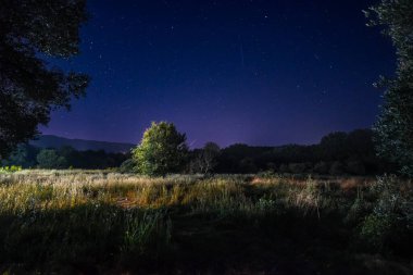 Parlak bir göktaşı derin, koyu mavi gökyüzünde çizgiler çiziyor, sayısız yıldızla benekli. Altın ışık, aşağıdaki vahşi bir çayırı aydınlatarak dramatik ve güzel bir gece manzarası yaratır.