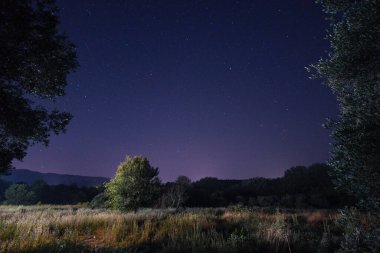 Kayan bir yıldız, yıldızlarla dolu, derin mavi bir gökyüzünde, sakin, ışıkla boyanmış bir çayırın ve ıssız bir ağacın üzerinde süzülür. Kozmik mucizenin büyülü anı güzel bir doğal ortamda yakalanır.
