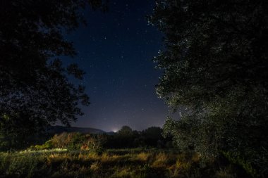 Yıldızlı bir gece gökyüzü koyu zeytin ağaçlarının doğal bir çerçevesinden görünüyordu. Uzakta, kasaba ışıklarının sıcacık parıltısı ufku aydınlatıyor, doğayla uygarlığı evrenin altında harmanlıyor.