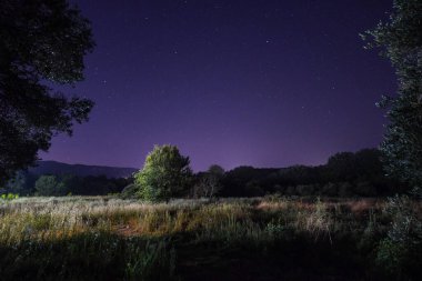 Yalnız, aydınlık bir ağaç, sayısız yıldızla dolu, nefes kesen mor ve mavi bir gökyüzünün altında, sakin bir çayırda duruyor. Kırsal kesimde sakin ve büyülü bir astrofotoğrafçılık manzarası.