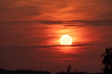 Parlak güneş diski dramatik, ince bulutların ardında batıyor, kırmızı ve turuncunun canlı tonlarında akşam gökyüzünü boyuyor. Güzel ve sakin doğal bir özgeçmiş.