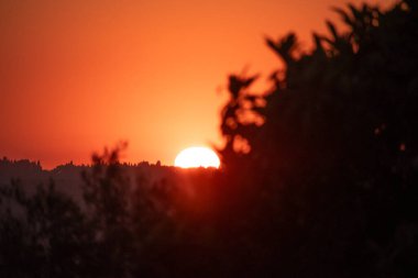 Güneşin son kıymığı uzak bir tepenin ardında kaybolur. Gökyüzünde parlak turuncu ve kırmızı bir parıltı bırakır. Ağaçların ve yaprakların karanlık siluetleri bu güzel, huzurlu gün batımını çerçeveliyor.