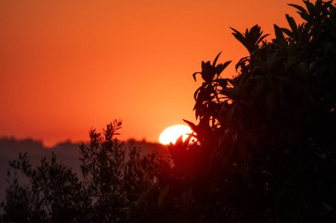 Güneşin son kıymığı uzak bir tepenin ardında kaybolur. Gökyüzünde parlak turuncu ve kırmızı bir parıltı bırakır. Ağaçların ve yaprakların karanlık siluetleri bu güzel, huzurlu gün batımını çerçeveliyor.