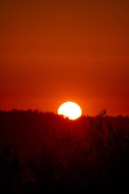 A dramatic close-up of a fiery red sun sinking behind a dark, silhouetted forest horizon, casting a vibrant, warm, and atmospheric glow across the deep orange evening sky