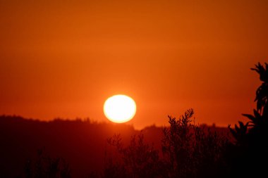 brilliant golden sun sets just above a silhouetted forest horizon. The vibrant orange sky creates a warm and beautiful backdrop for the peaceful evening scene