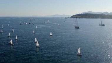 Geniş yelkenli yelkenli yelkenli yelkenli yarışlarının güneşli, yeşil bir sahil kenarındaki küçük tekne ve yatlarla hava aracı görüntüsü.