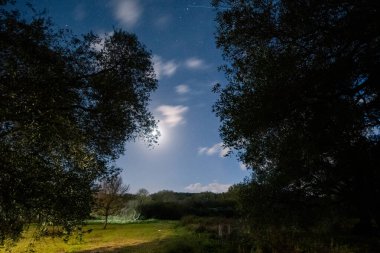 Ağaçların çerçevelediği sakin bir gece sahnesi, Ay 'ı, yıldızları, uydu izlerini ve aydınlatılmış bulutları gösteriyor.