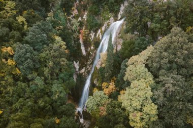 Korfu 'daki gizli bir şelalenin dikey görüntüsü Yunanistan' ın yoğun ormanlarıyla çevrili canlı sonbahar yeşillikleri manzaralı doğa yolculuğunun arka planında