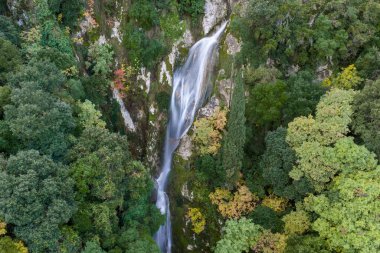 Görkemli Saklı Orman Şelalesi Yeşillik ve Sonbahar Yeşilliklerinden Şelale Şelalesi  
