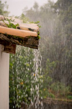 Şiddetli yağmur, yeşil yosun ve yabani otlarla kaplı eski kırsal bir terasottadan dökülüyor. Su, bulanık yeşil arka planda hızla akıyor..