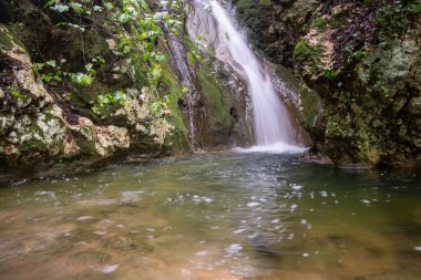 Berrak Su Havuzu ve Doğal Gün Işığındaki Yosun Kayalarıyla Derin Orman 'da Sakin Şelale