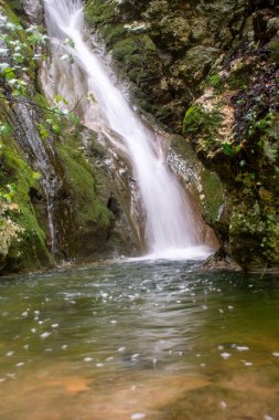 Manzaralı Şelale Yosun tutmuş kayalıklardan aşağı süzülerek İlkbaharda Doğa Ormanındaki Yeşil Havuz 'a akıyor.