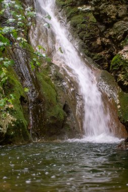 Yosunların üzerinden akan küçük doğal şelale kayaları temiz bir havuza dönüştürmüş, Kiprianades, Korfu, Yunanistan 'ın gür ormanlarında yakalanmış, dingin doğa, temiz su dokuları ve sakin vahşi doğa güzellikleri sergiliyor..