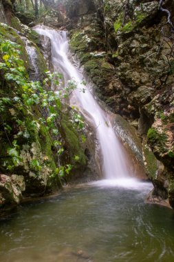 Kiprianades Korfu Yunanistan 'ın sık ormanlarında yosunlu yosunlu kayalıklardan dökülen görkemli şelaleler, ipeksi yumuşak suyun doğal bir havuza düşüşünün uzun pozlu fotoğrafları.