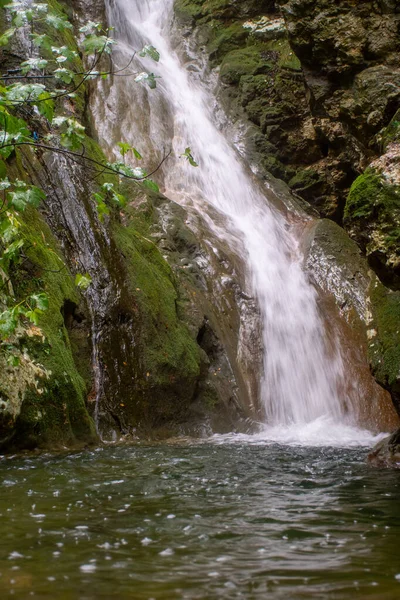 Yosunların üzerinden akan küçük doğal şelale kayaları temiz bir havuza dönüştürmüş, Kiprianades, Korfu, Yunanistan 'ın gür ormanlarında yakalanmış, dingin doğa, temiz su dokuları ve sakin vahşi doğa güzellikleri sergiliyor..