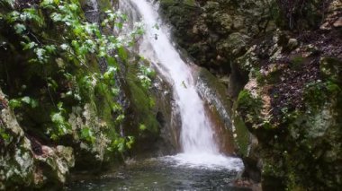 Bereketli Yeşil Orman boyunca Şelale Şelalesi Yosun Kayaları ve Huzurlu Doğa Ayarları Temiz Havuzu, Rahatlama ve Seyahat İçeriği İçin İdeal