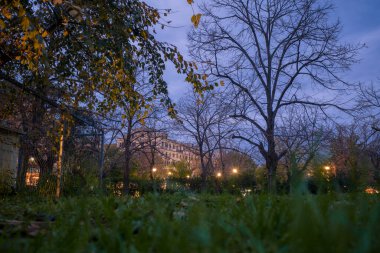 Akşam alacakaranlığında Yunanistan 'ın Korfu Kasabası' ndaki çimenli bir parktan çıplak kış ağaçlarına ve aydınlatılmış tarihi binalara bakan alçak görüş açısı