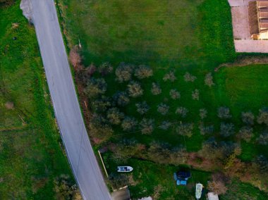 Yunanistan 'ın kırsal kesimindeki bir karavanda, zeytin ağaçlarıyla yeşil tarlalardan geçen asfalt yolu tepeden aşağıya doğru insansız hava aracı manzaralı.