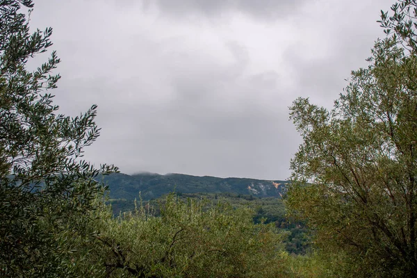 Yeşil ağaçların ve dağların üzerindeki bulutlu gökyüzü