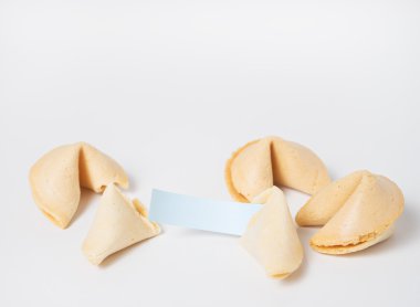 Fortune cookies on the white  background clipart