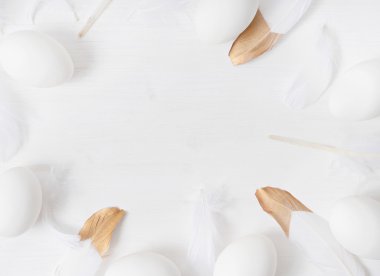 tüyleri beyaz zemin üzerine beyaz yumurta