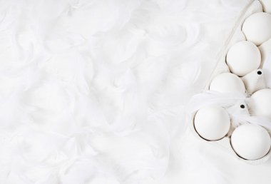 tüyleri beyaz zemin üzerine beyaz yumurta